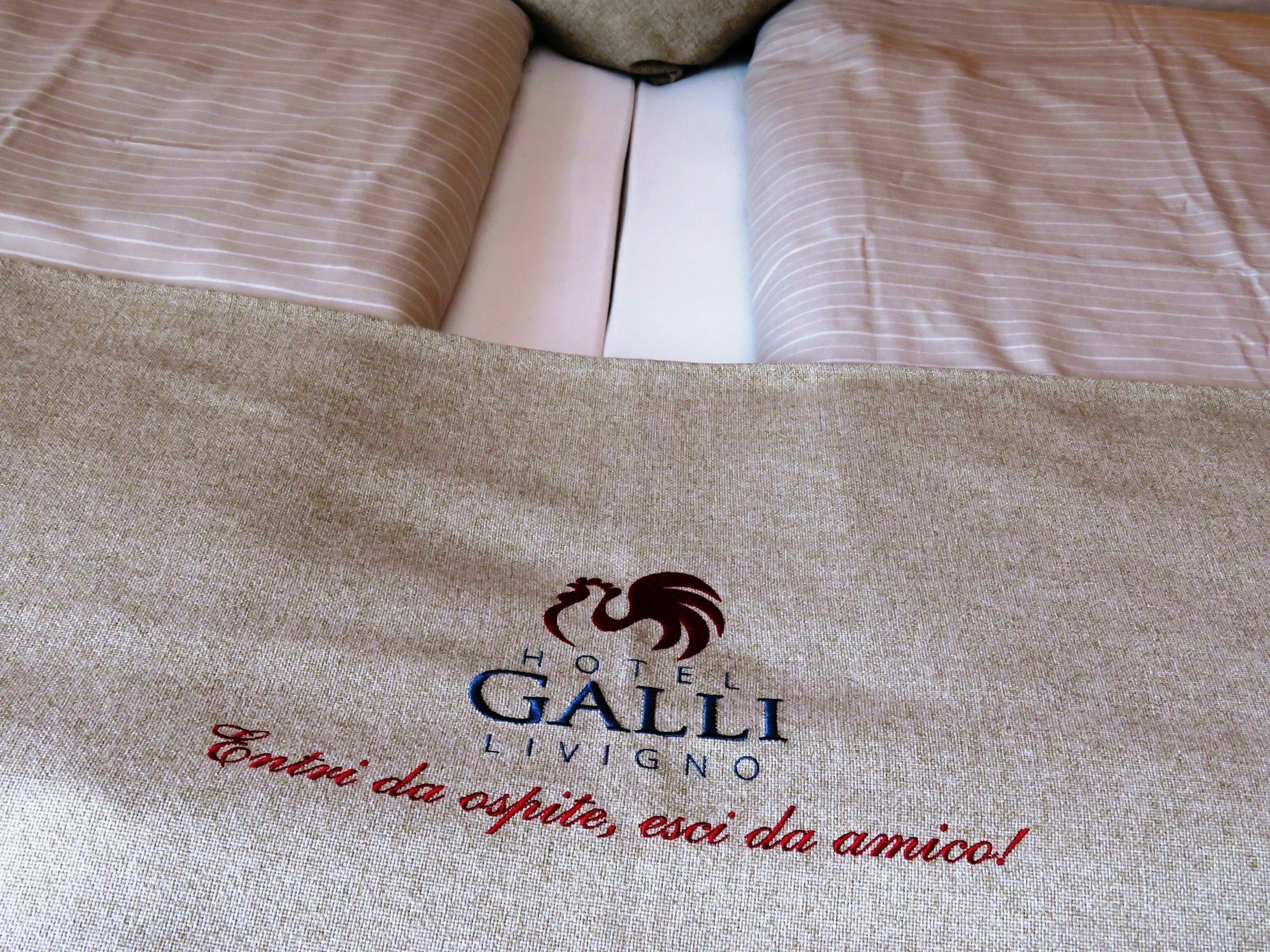 Galli